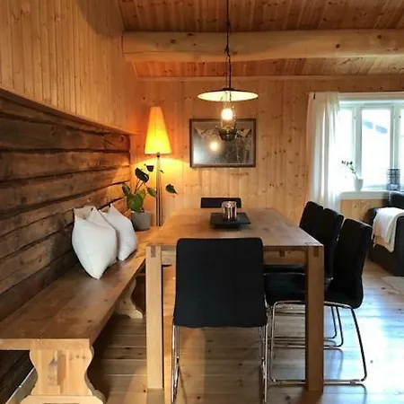 Villa Svenskveien 23B à Røros Extérieur photo