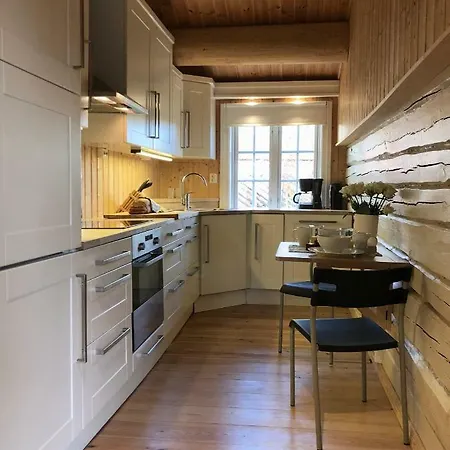 Villa Svenskveien 23B à Røros Extérieur photo